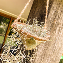 Load image into Gallery viewer, Witches Hat Planter, Green Envy
