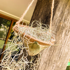 Witches Hat Planter, Green Envy