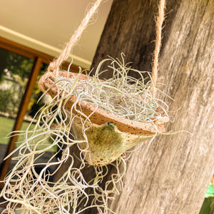 Witches Hat Planter, Green Envy