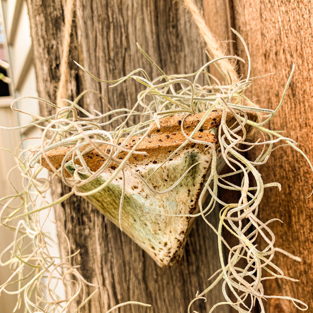 Witches Hat Planter, Green Envy