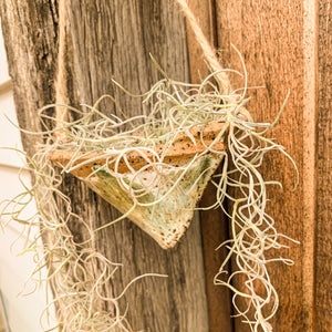 Witches Hat Planter, Green Envy