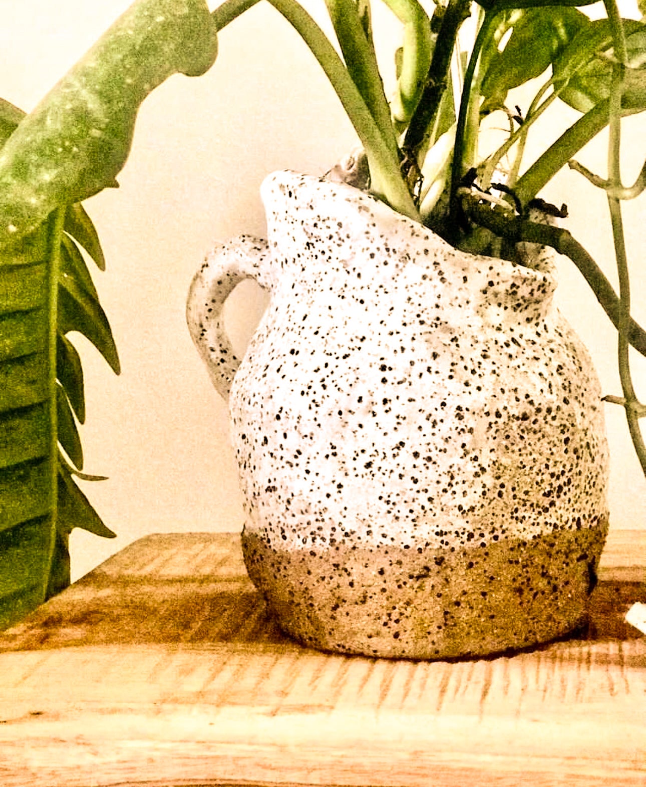 Ceramic Vase Workshop
